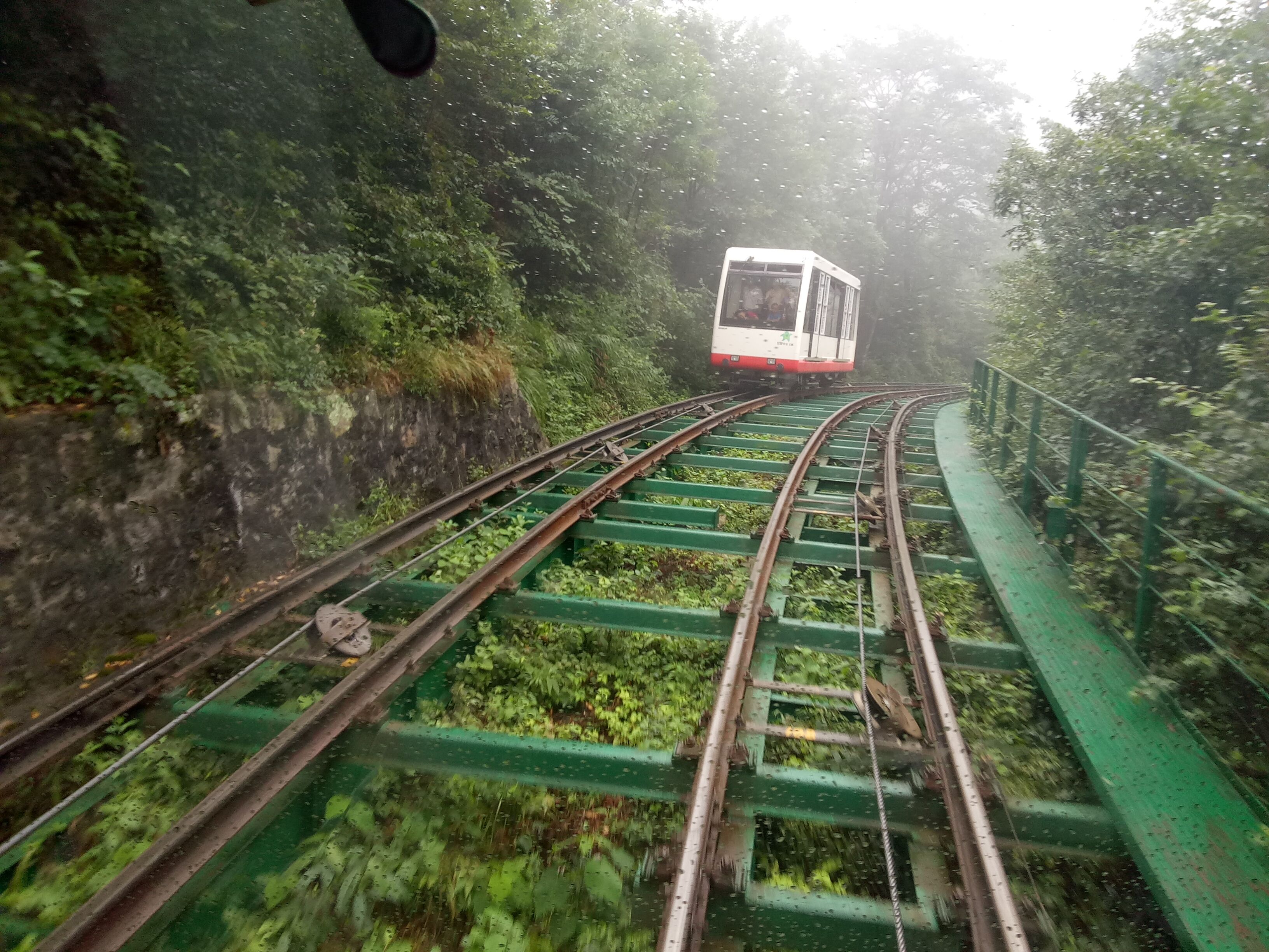首页- YABO鸭脖公司官网