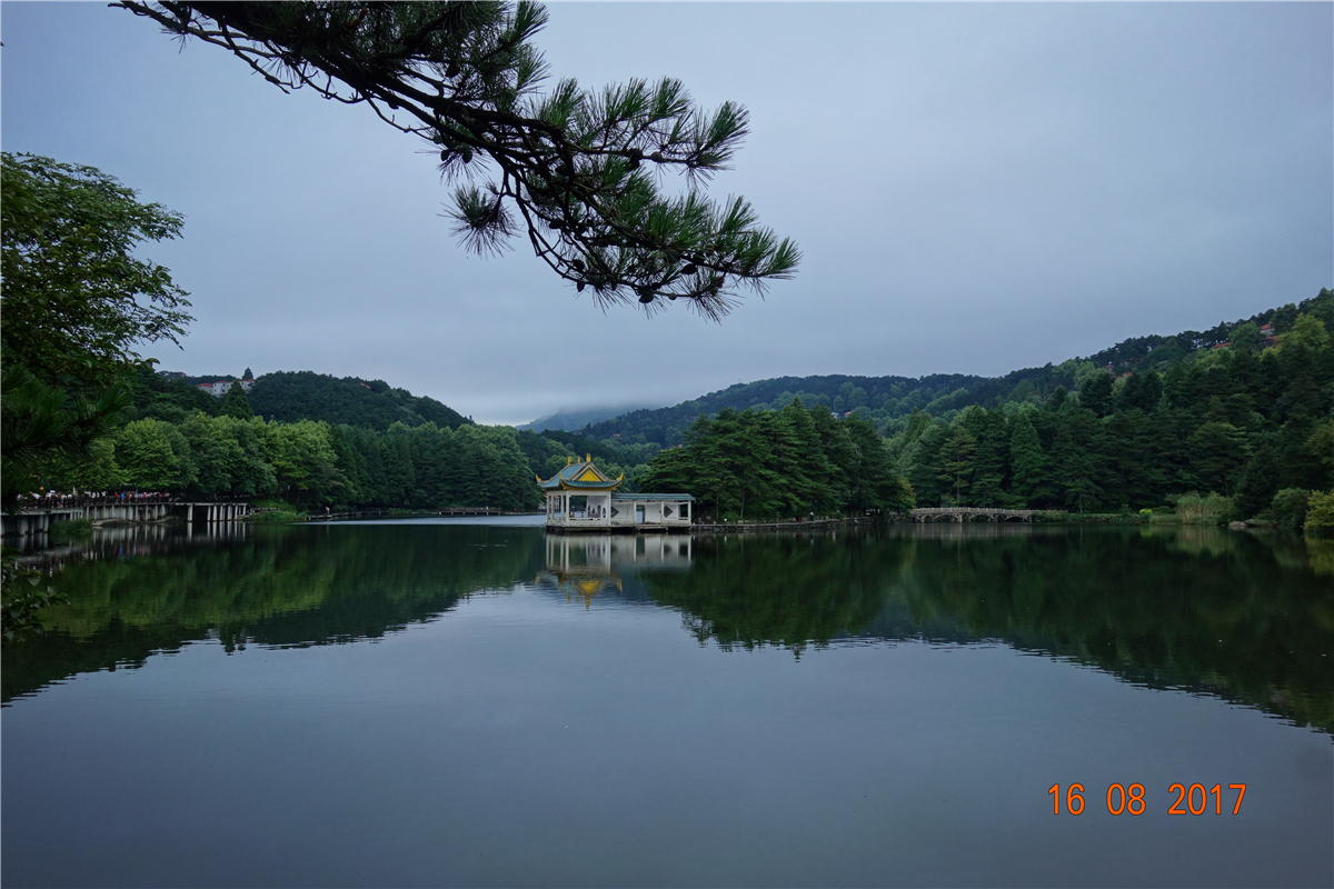 首页- YABO鸭脖公司官网