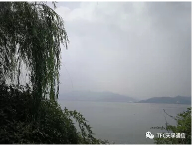 首页- YABO鸭脖公司官网